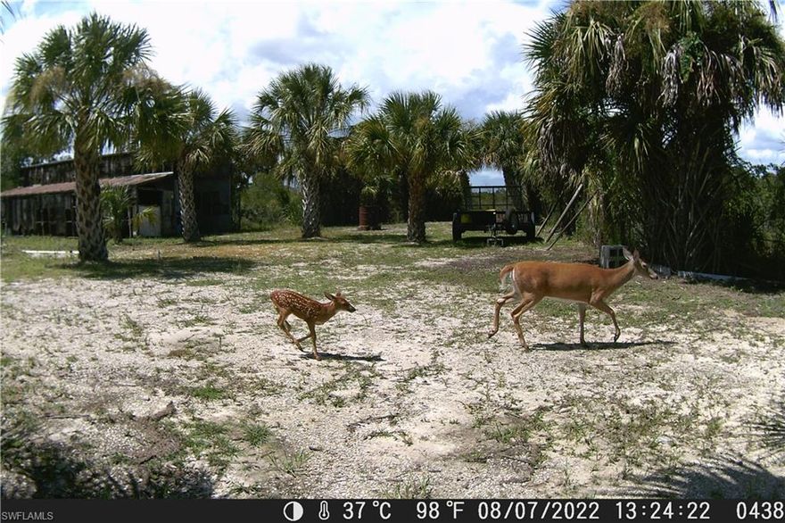Great potential on this improved 5-acre property in Golden Ranch's. Per Charlotte County, this 5-acre parcel falls under the previous building code of 5 acres for a single-family home. This quiet, secluded property is a perfect get away from it all! It is fenced and partially improved. There is an electric pole on the SE corner of the property; FPL has removed the meter. There also is a well and shallow septic system. None of the utilities have been used in some time, condition is unknown. Per the tax roll the pole barn is 22 x 40. Improved-AG Zoning.  No HOA. Survey attached. Take SR 31 to East on Bermont Rd. for approximately 8.5 miles. Watch on the Left for a white post marked Eugene Rd. Just past Eugene are 2 driveways, go North on the next dirt road (at mailboxes). Stay straight for approximately .6 mile property; is on the left. Google maps directions and map are accurate. There is a sign and green survey tape at the property entrance. The property is higher than the road and dry. We love Buyers Agents.