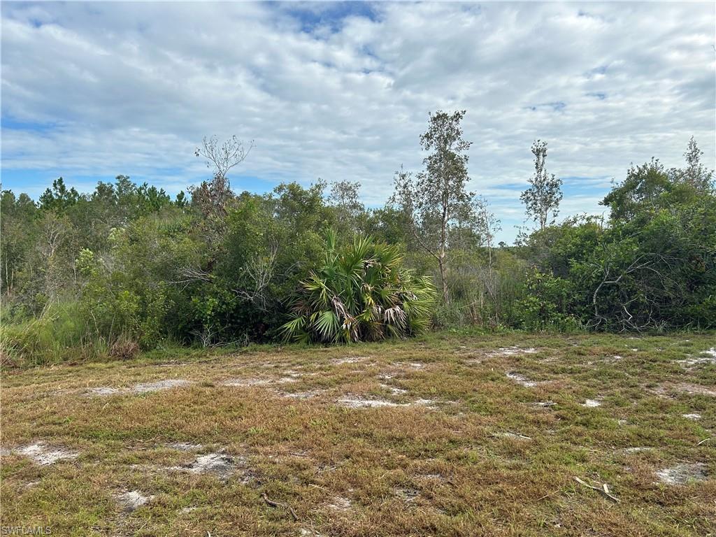 GOLDEN RANCHES - Land