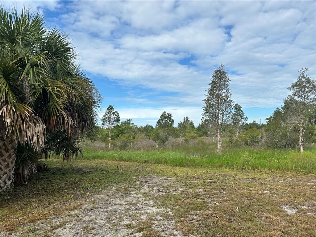 GOLDEN RANCHES - Land