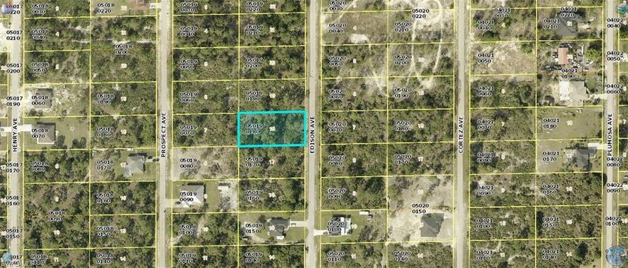 Great lot for builders in the growing community of Lehigh Acres!