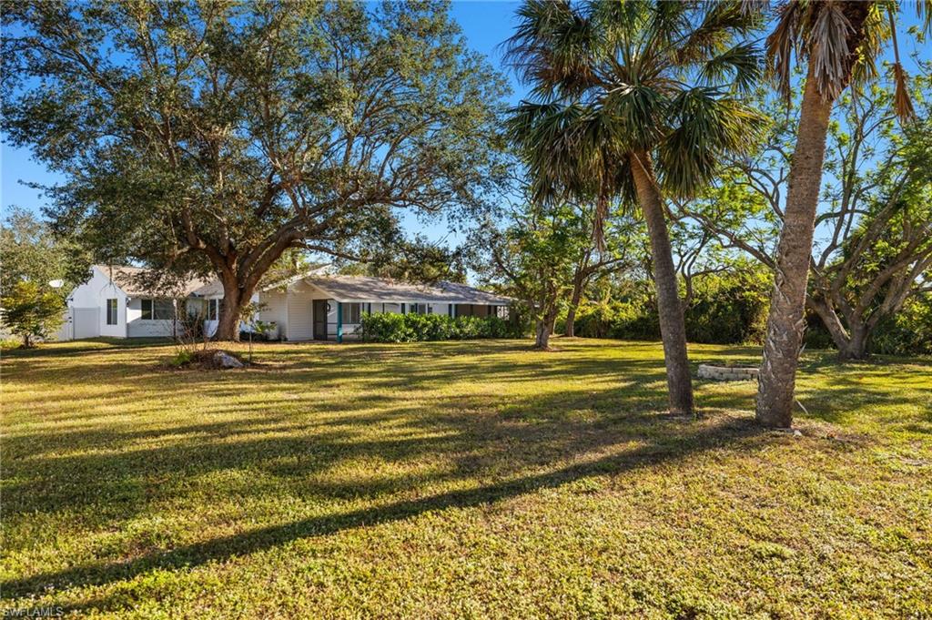 31 Twig CT
