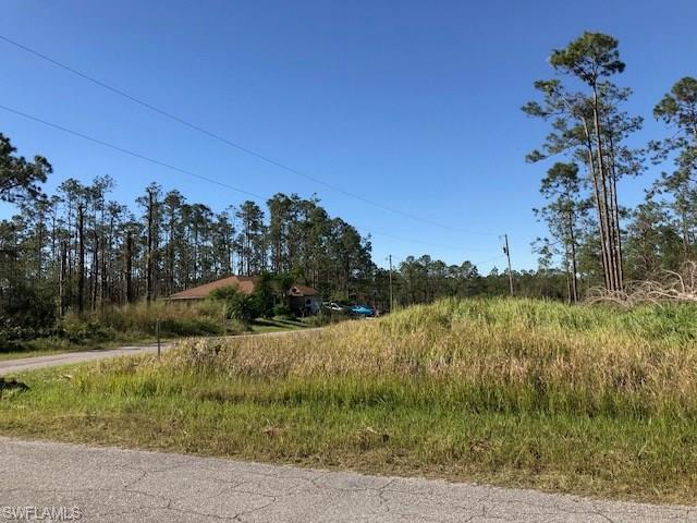 LEHIGH ESTATES - Land