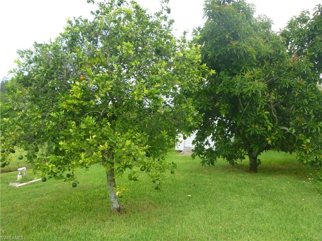 COUNTRY CLUB ESTATES - Residential