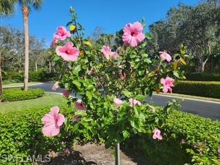 OAK LAKE SANCTUARY - Residential