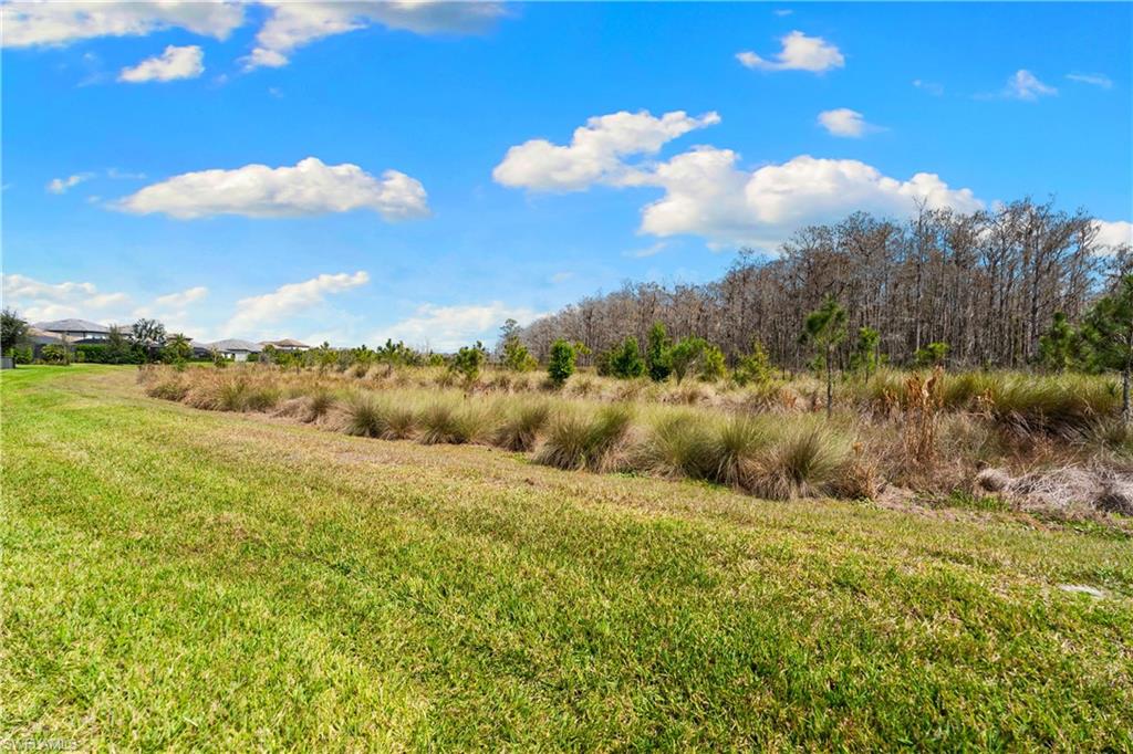 THE PLACE AT CORKSCREW - Residential