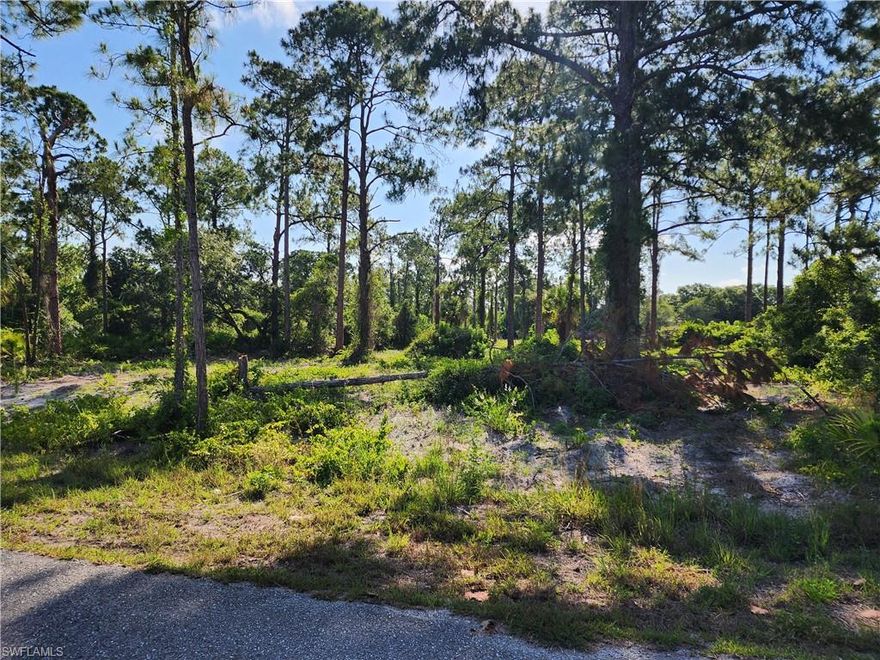 Discover an exceptional opportunity to own a beautiful half-acre vacant lot in the charming community of Alva, FL, near the bustling area of Lehigh Acres. This prime property offers the perfect blend of tranquility and convenience, making it an ideal location for your dream home or a smart investment in a rapidly growing region. Imagine designing a home tailored to your tastes amidst serene surroundings, with ample space for a spacious house, garden, or pool. Benefit from the area's appreciating property values and ongoing community enhancements, ensuring access to new amenities, schools, parks, and shopping centers. Strategically located with easy access to major roads, this lot provides a seamless commute to Fort Myers and other nearby cities, while offering proximity to natural beauty such as the Caloosahatchee River and nature trails. Whether you're seeking a personalized haven or a promising investment, this lot in Alva presents unparalleled potential.