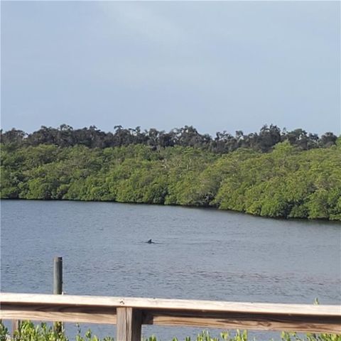 A home in BONITA SPRINGS