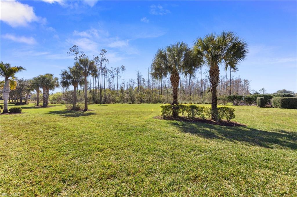 PRESERVE AT CORKSCREW - Residential