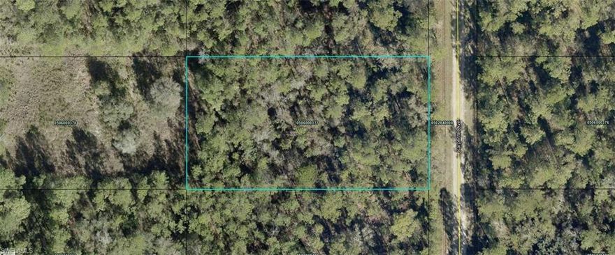 A VACANT LOT IN HASTINGS IN ST JOHNS COUNTY!!!