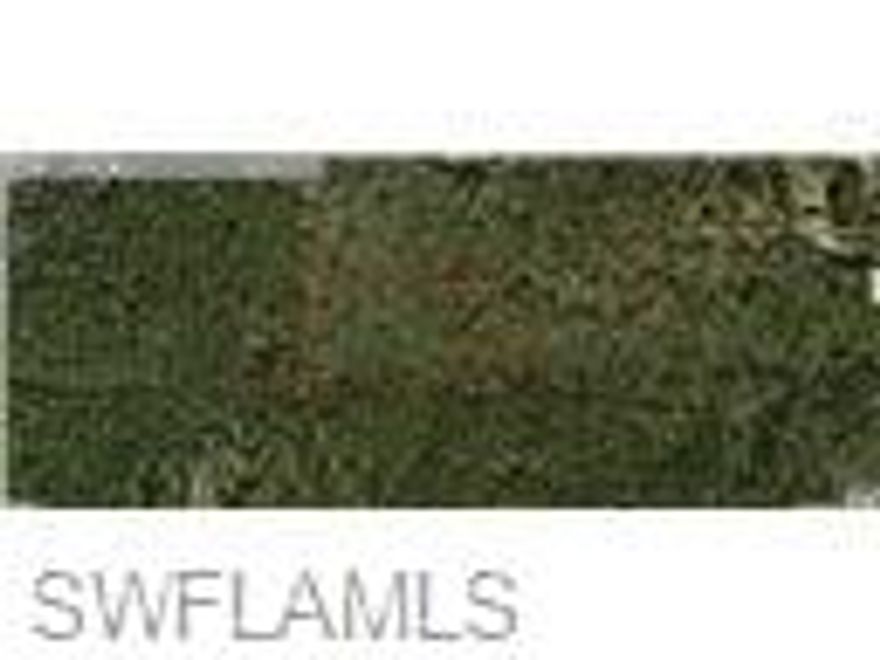 Looking to purchase your dream property in Florida, look no further. This lot is listed below market value! Buying Land in Florida is a solid investment for your future, build your dream home, vacation home, rental investment or let the land build value as a great long term investment to resell for a future profit. Property is sold As-Is, Buyer to pay past due property taxes and all liens/code violations against the property if any. Buyer to pay title. No warranties of any kind, survey, lien search, title policy or insurance will be provided by the seller. Seller acquired interest in the property via Tax Deed sale and has never lived on property.