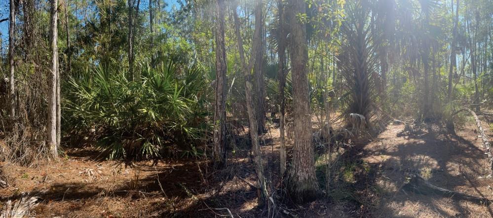 GOLDEN GATE ESTATES - Land