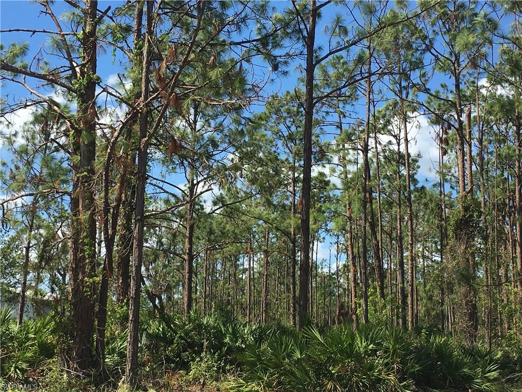 GOLDEN GATE ESTATES - Land