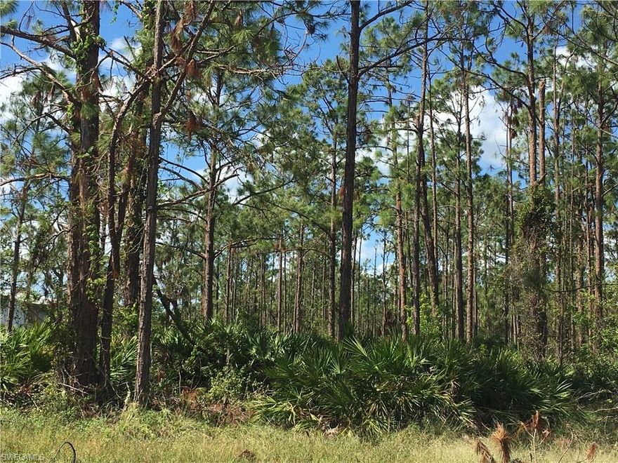 79% UPLAND in FRONT per TEC 2018 can avoid ERP EASY, wetland area ONLY in back.  Sparse pine.  The view says it all.  Between 56th and 58th Ave NE.  Gorgeous!
