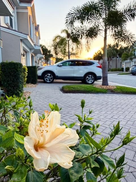 SOMERVILLE - Residential Lease