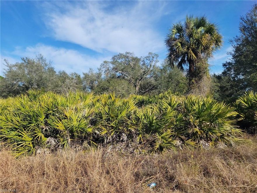 This stunning lot is ready for your vision. Located near the beautiful Frank Mann Preserve, where you can enjoy access to outdoor activities like kayaking, canoeing, fishing, bird watching, and walking in serene open areas. Experience the perfect blend of country living and convenience, with the tranquility of nature just minutes from town. Don’t miss this opportunity to create your ideal home in a prime location!