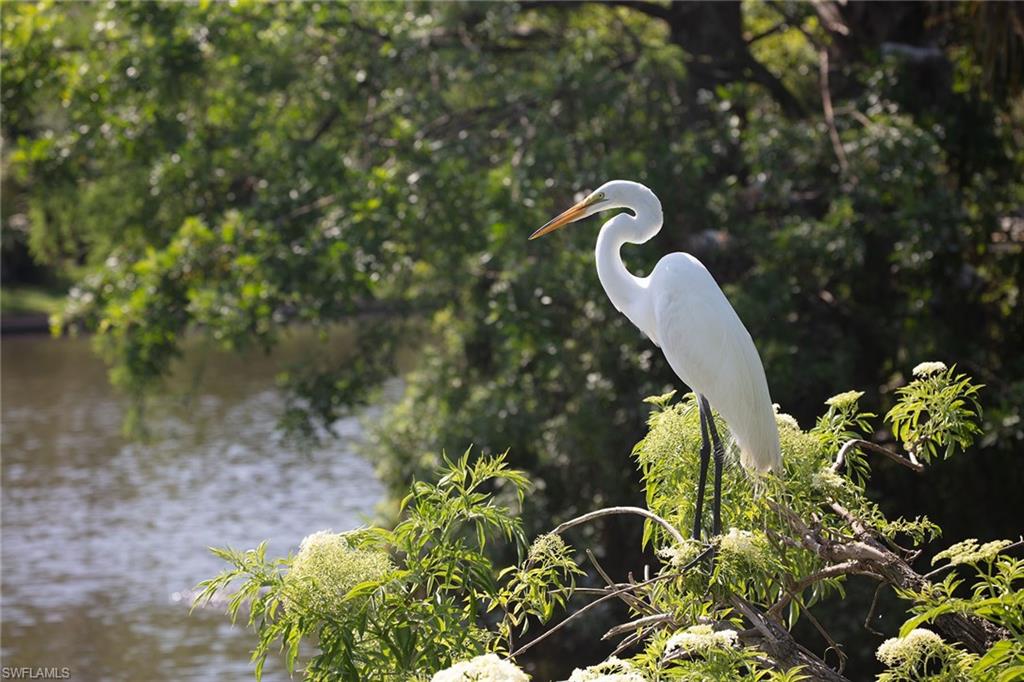 PARK SHORE - Residential