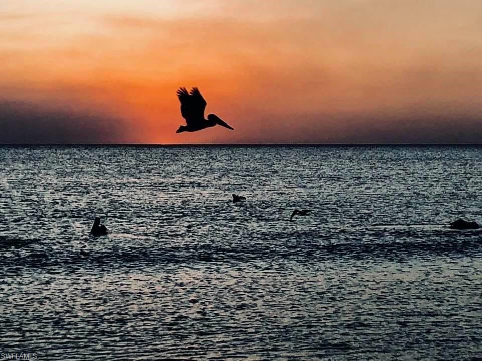 SOUTH SEAS CLUB CONDO - Residential