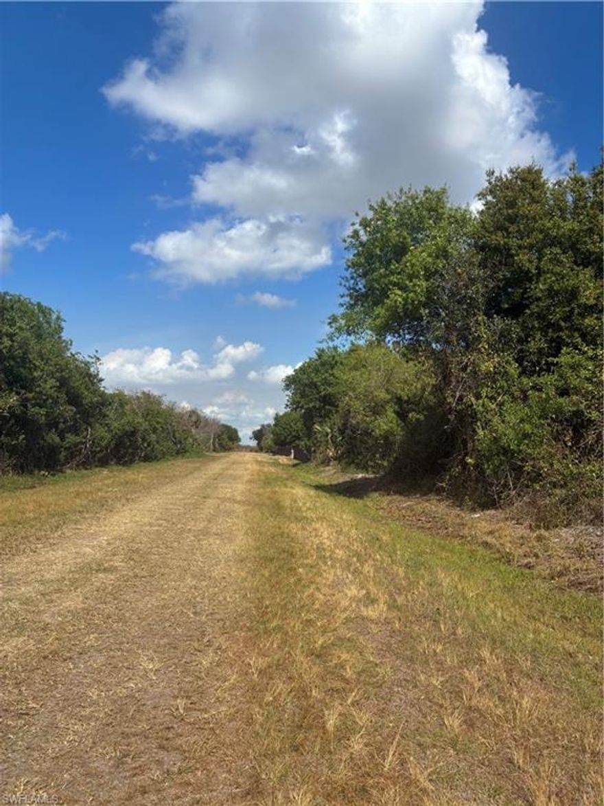 Take advantage of this generous 1.25-acre homesite in Clewiston, ideal for building and customizing your future home. The property’s level landscape and southern exposure provide excellent conditions for development, with ample space for outdoor features such as a pool, garden, or open yard. Conveniently located near shopping, dining, parks, and the future Airglades International Airport, this lot offers both accessibility and long-term potential. Zoned Rural Residential, it permits single-family residences or manufactured homes, giving you the freedom to build according to your preferences. An excellent opportunity to invest, build, and create the lifestyle you’ve been envisioning.