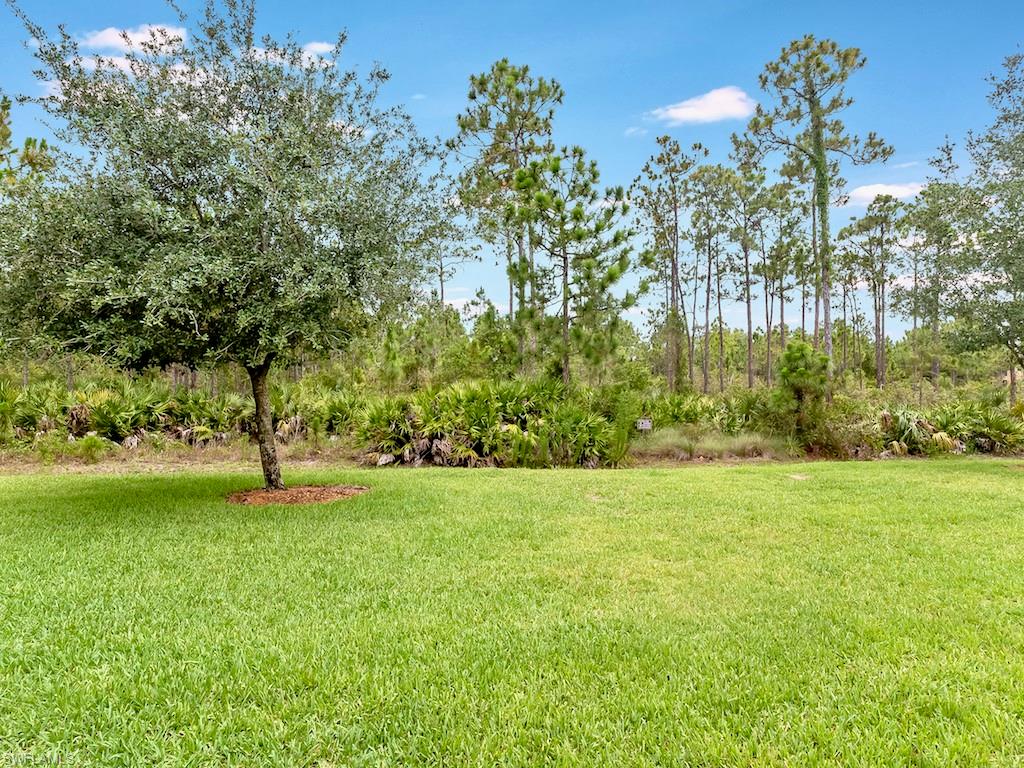 TERRA VISTA - Residential