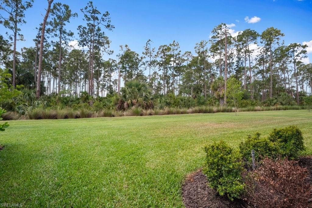 BENT CREEK PRESERVE - Residential