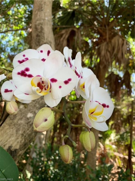 THE PARK AT LAKEWOOD - Residential