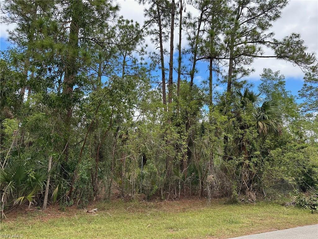 GOLDEN GATE ESTATES - Land