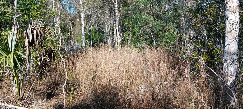 TIMBER TRAILS - Land