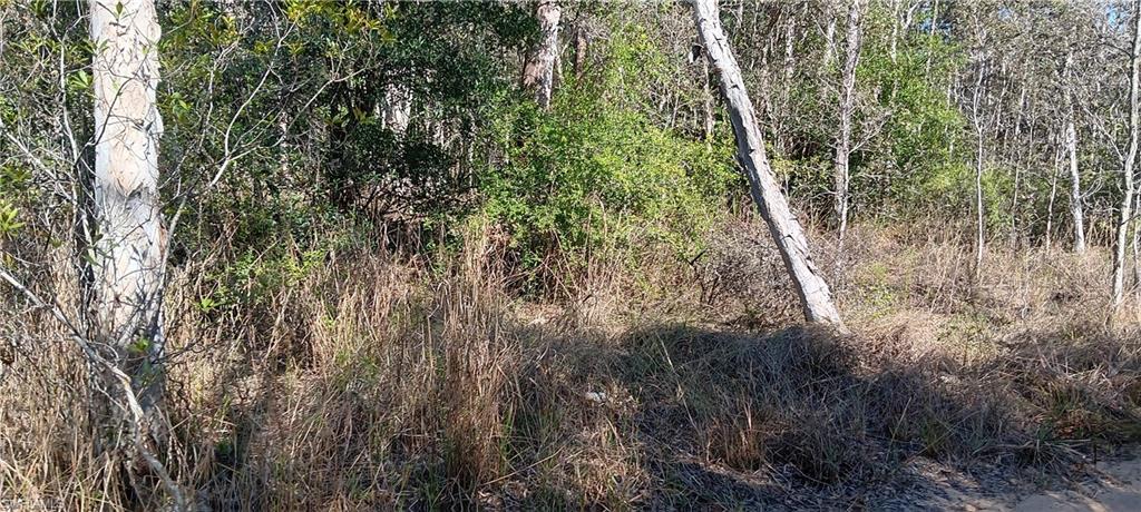 TIMBER TRAILS - Land