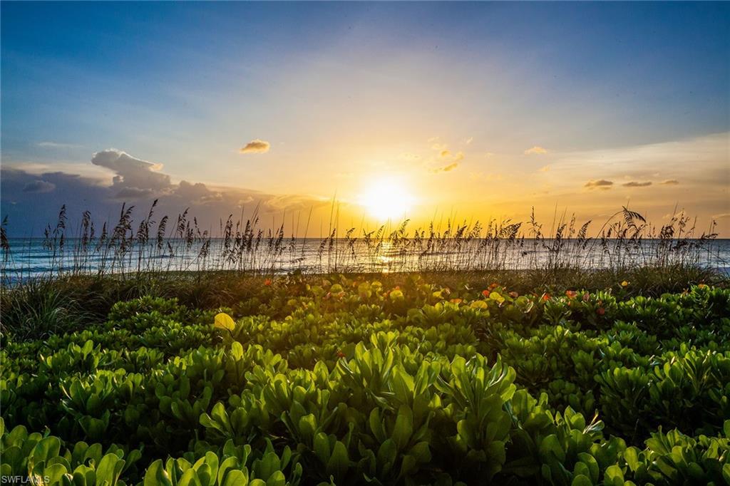 SHORES OF NAPLES - Residential