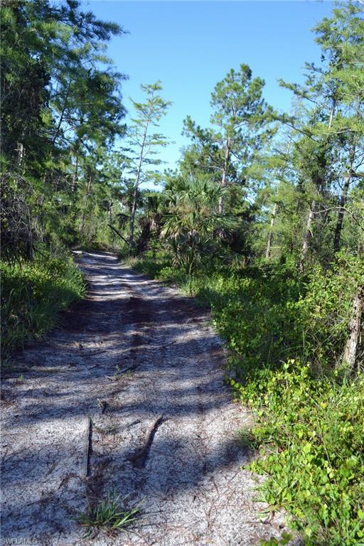 NORTH BELLE MEADE - Land