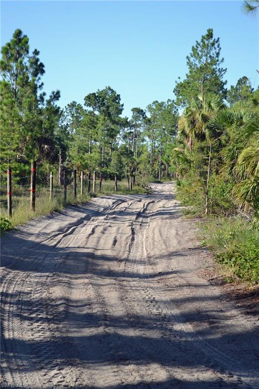 NORTH BELLE MEADE - Land