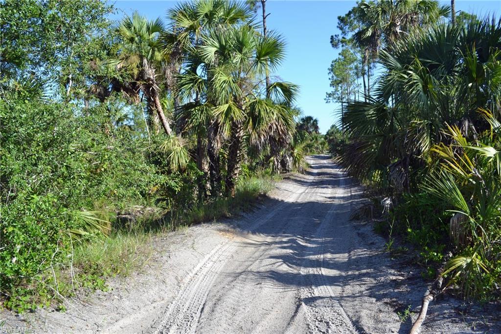 NORTH BELLE MEADE - Land