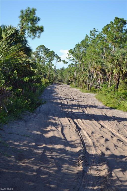 NORTH BELLE MEADE - Land