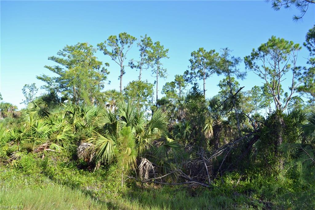 NORTH BELLE MEADE - Land