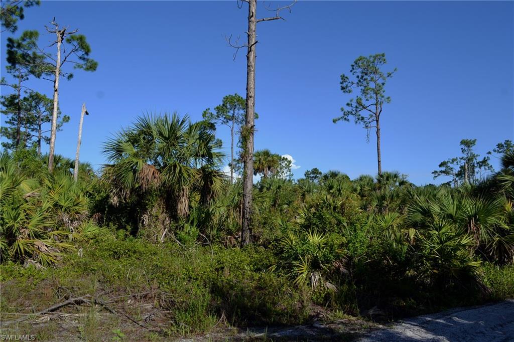 NORTH BELLE MEADE - Land