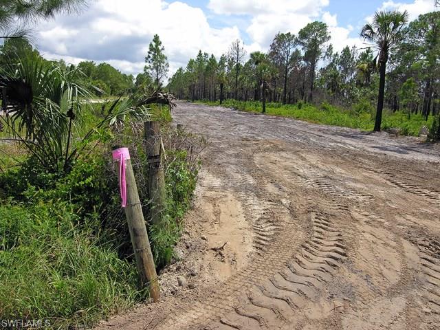 NORTH BELLE MEADE - Land