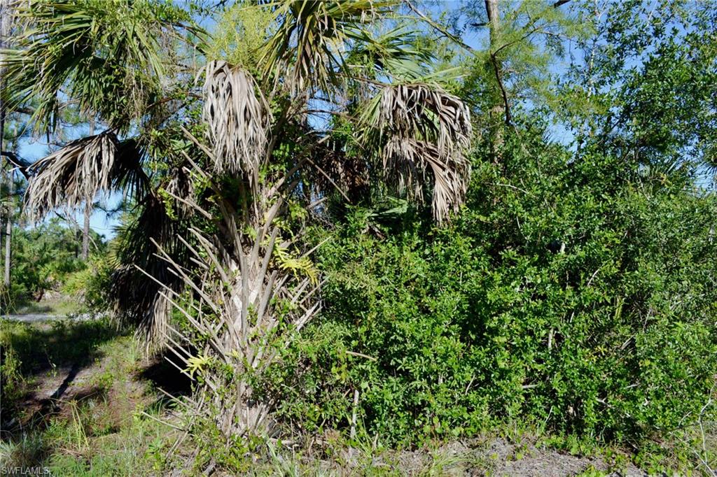 NORTH BELLE MEADE - Land