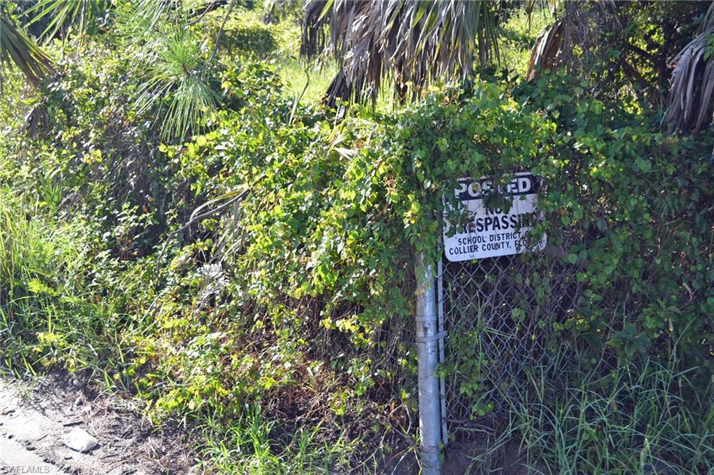 NORTH BELLE MEADE - Land