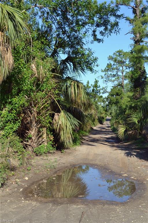 NORTH BELLE MEADE - Land