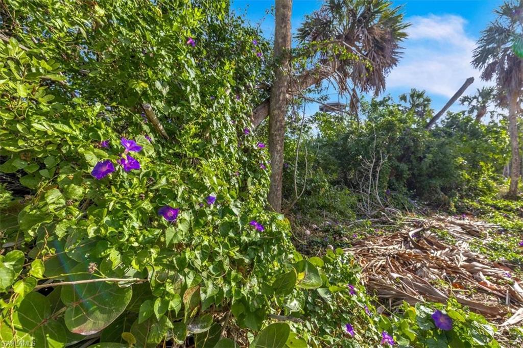 JOSES HIDEAWAY - Land