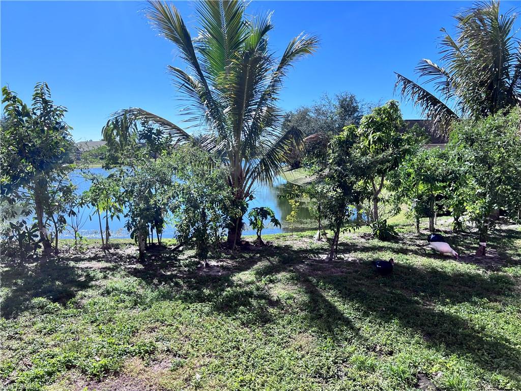 ARROWHEAD RESERVE - Residential