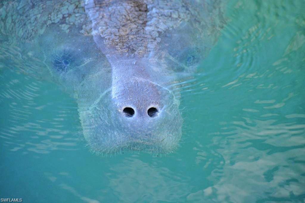 RIVER POINT - Residential