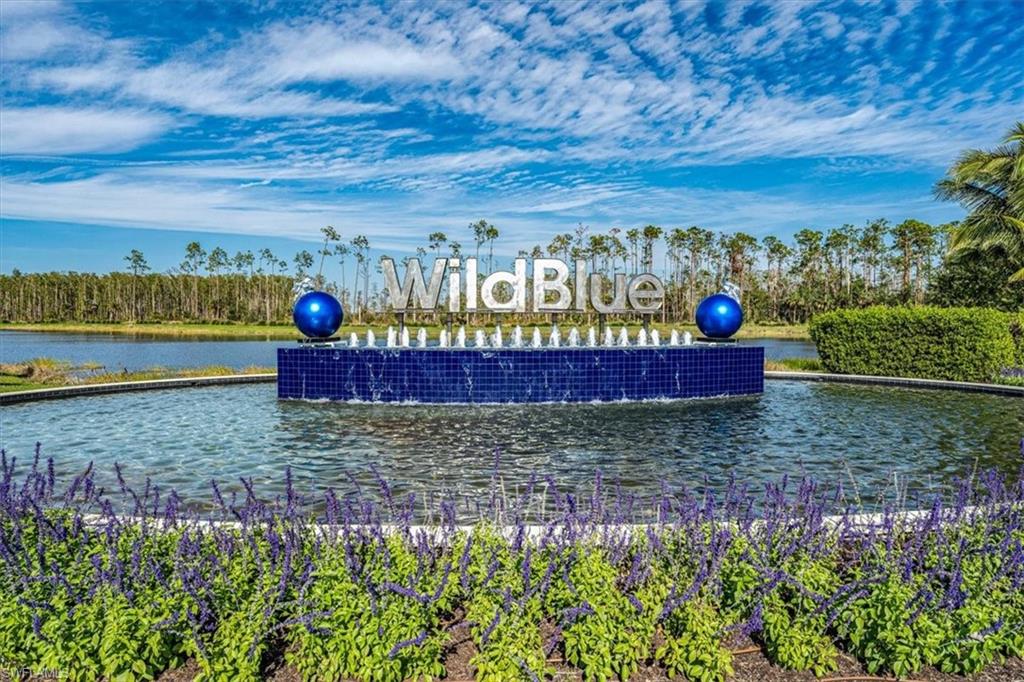 WILDBLUE - Residential