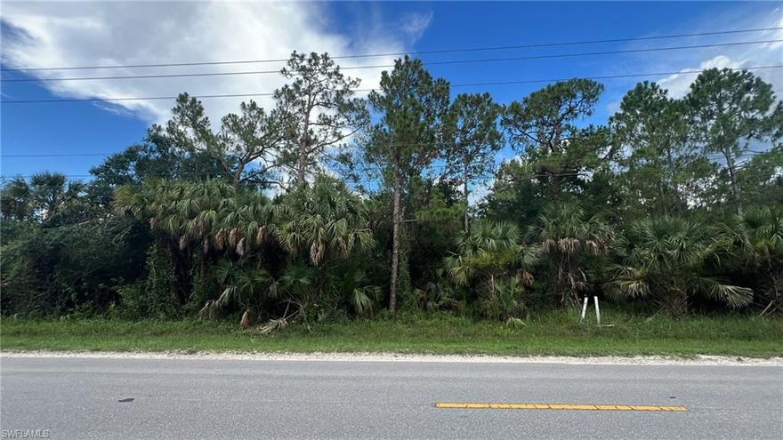 Amazing location! Don't miss this opportunity to live in this unbeatable location offering both serene, natural setting just minutes from shopping. This 2.81 lot offers ample space for your dream home as well as horses, and other outdoor pursuits. Enjoy the freedom to create your own piece of paradise on this empty canvas! Don't miss out on this opportunity. Very Fast Growing Area Act Now! Seller makes no warranties and buyer is advised to do their due diligence to their own satisfaction. DEP Available