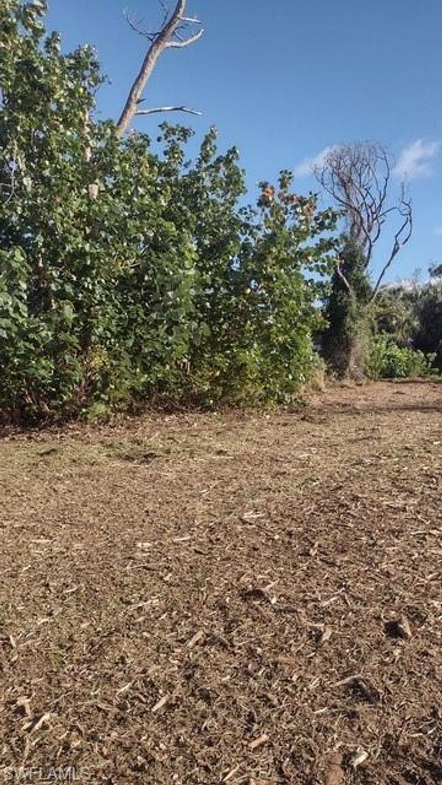 Welcome to Pine Island, Florida's hidden gem on its southwest coast. This recently cleared half acre lot {.47ac} in Tropical Homesites has room for a large home, shop, plus all your toys. It's the only community on Pine Island with a county park with a beach and boat launch. It is a short walk from the lot and you can launch your boat/paddleboard/kayak right into Matlacha Pass which offers access to the Gulf.
Tropical Homesites is a friendly, walkable community, with nice homes, paved roads, no HOA, and city water available. The lot also features a magnificent 45 year old giant stand of bamboo, which is quite the sight to behold waving in the tropical breeze. St. James City and all it offers is a short golf cart ride away.  Pine Island has much to offer; nature filled hiking trails, historical sites, great seafood restaurants, community festivals as well as access to world class fishing. Don't miss your chance to build your island dream home. Kick back, relax and simply enjoy "Island Time."  This is an excellent lowered price for a cleared lot in this neighborhood.