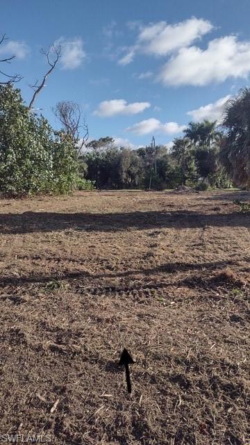 PINE ISLAND TROPICAL HOMESITES - Land