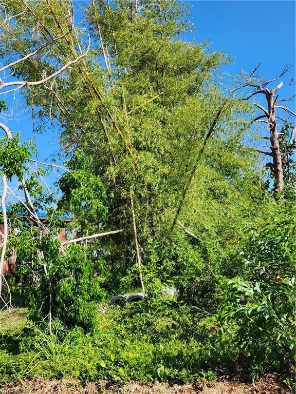 PINE ISLAND TROPICAL HOMESITES - Land