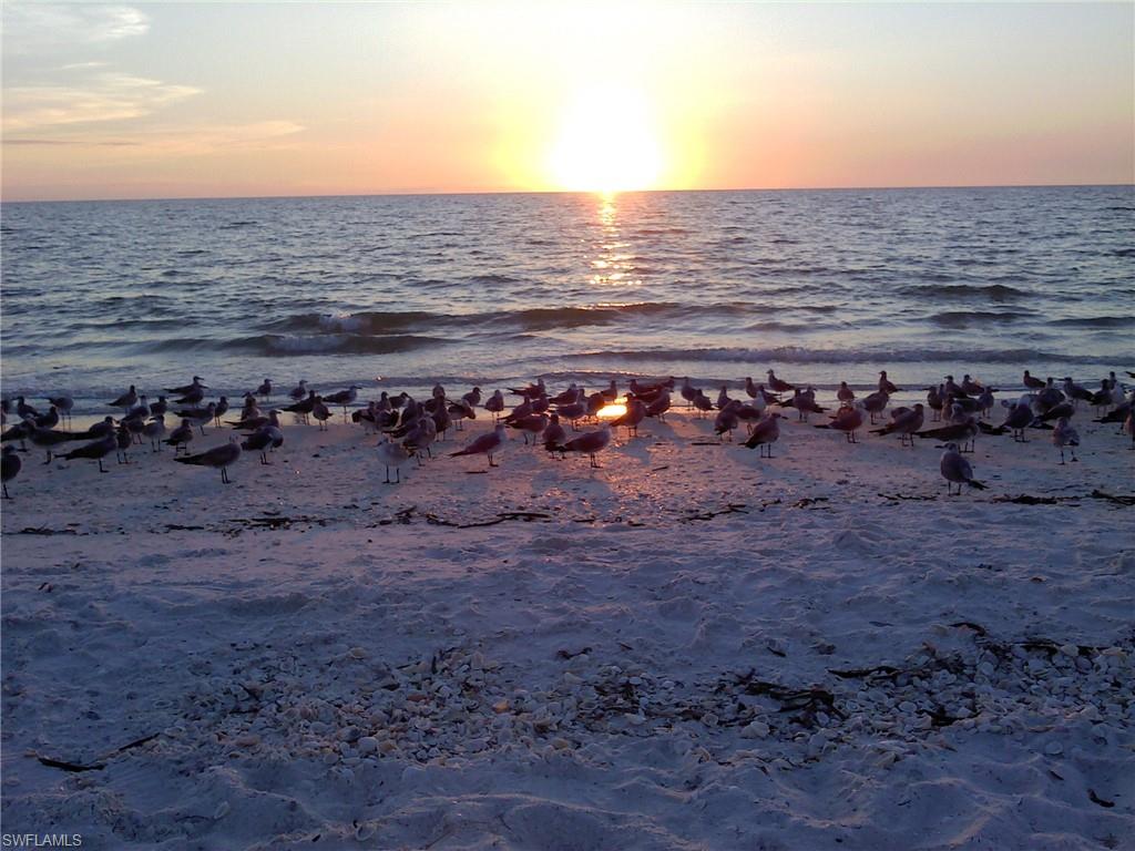 BONITA SHORES - Residential