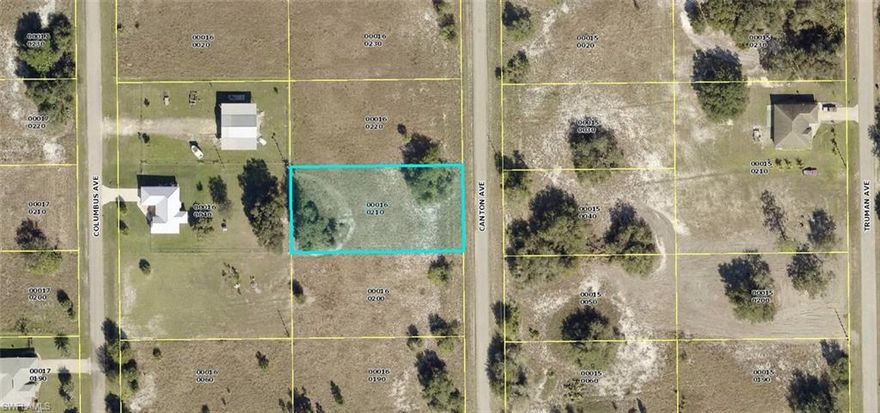 Great western exposure half ace parcel located east of Joel Blvd. Almost fully cleared, just a couple lone trees! This location provides quick access to either State Road 80 or State Road 82. The huge half acre parcel will be great for your new home & the western exposure will be even better for your new pool! Buy now and build or hold this parcel as a long term investment. The taxes are LOW! Sellers have multiple parcels available.