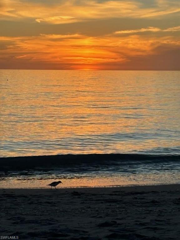 HIBISCUS POINTE - Residential